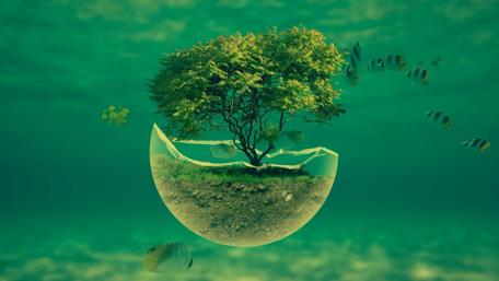Enigmatic Tree in Floating Orb wallpaper