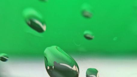 Fresh Raindrops on a Vibrant Green Background wallpaper