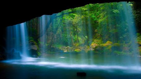 Enchanting Waterfall Beneath the Forest Canopy wallpaper