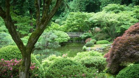 Serene Tranquility in Nature's Embrace wallpaper