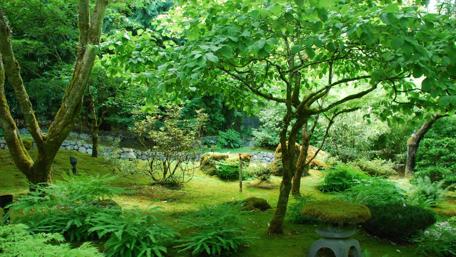 Lush Tranquility in a Serene Garden Scene wallpaper