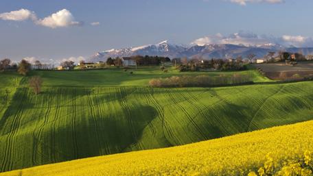 Breathtaking Green Fields with Snow-Capped Mountains View wallpaper