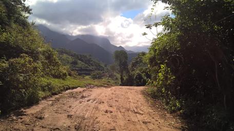 Serene Mountain Trail in Nature's Embrace wallpaper