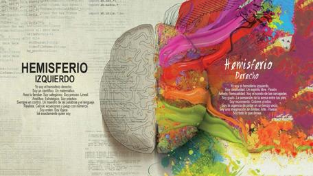 Hemisferios Cerebrales en Contraste wallpaper