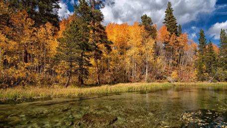 Autumn Serenity by the River Bank wallpaper