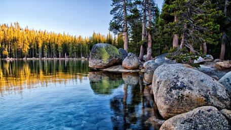 Serene Reflection in Nature's Embrace wallpaper
