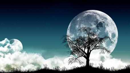 Lunar Dreams on a Starlit Night wallpaper