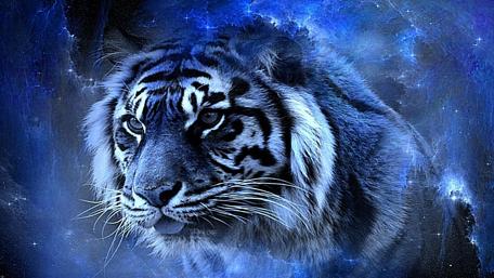 Majestic Blue Tiger Essence wallpaper