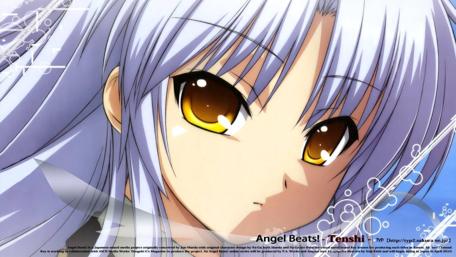 Serenity in Silver, Gaze of Emotion wallpaper
