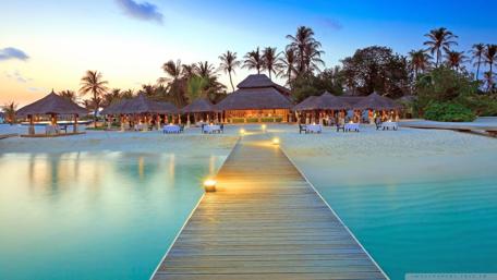 Serene Beachfront Escape Next to Calm Waters wallpaper