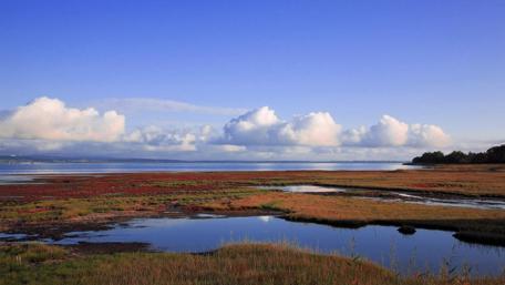 Serene Landscape of Tranquil Waters and Skies wallpaper