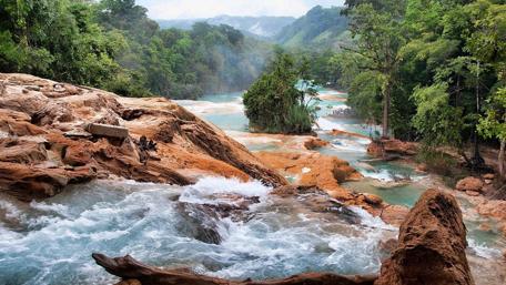 Serene Waters of a Tranquil Jungle Stream wallpaper