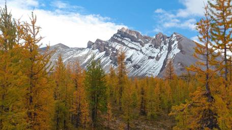 Autumn Majesty in the Mountains wallpaper