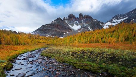 Mountain Creek in Vibrant Autumn Landscape wallpaper
