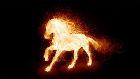 Fiery Horse in Motion Wall Art wallpaper