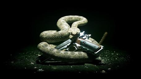 Serpentine Guardian of the Pistol wallpaper