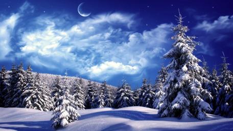 Winter Wonderland Under the Moonlight wallpaper