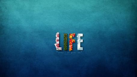 Vibrant Expression of Life's Journey wallpaper