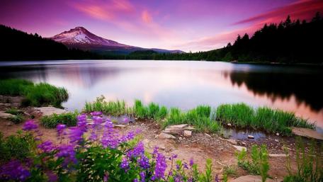 Purple Twilight Over Serene Lake wallpaper