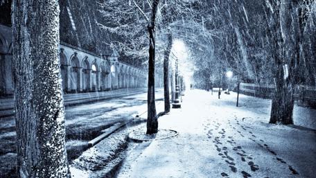 Winter Wonderland in the City at Night wallpaper