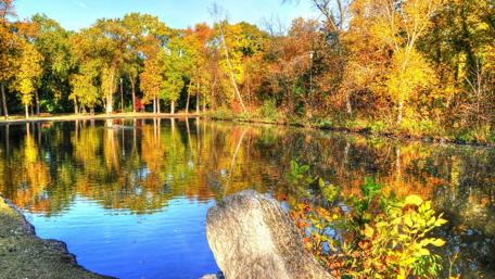 Autumn Reflections in Nature's Tranquil Pond wallpaper
