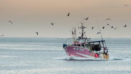 Serenity at Sea with Fishing Boat and Birds wallpaper