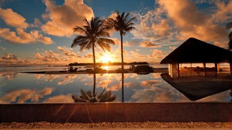 Tropical Sunset Serenity wallpaper