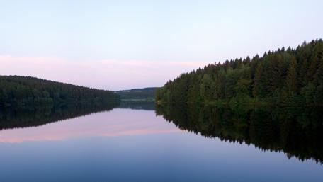 Tranquil Waters and Lush Green Forests wallpaper