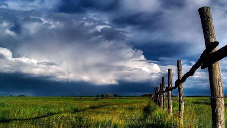 Vast Sky and Serene Meadow Harmony wallpaper