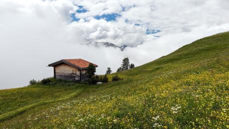 Serene Cottage Amidst Wildflower Fields and Clouds wallpaper