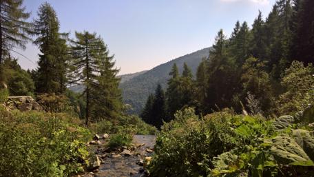 Serene Mountain Landscape with Flowing Stream and Lush Foliage wallpaper