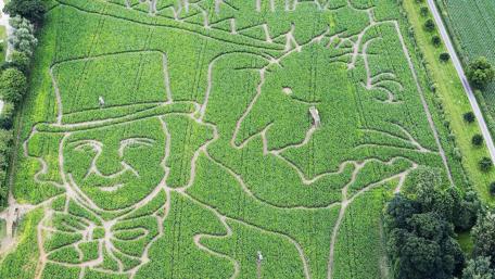 Whimsical Corn Maze Design Featuring Iconic Characters wallpaper