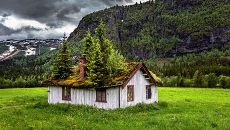 Rustic Cottage in Lush Forest Landscape wallpaper