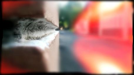 Urban Perspective Captured in Soft Focus wallpaper