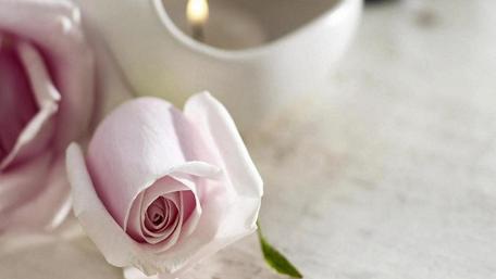 Delicate Pink Roses with Serene Candlelight wallpaper