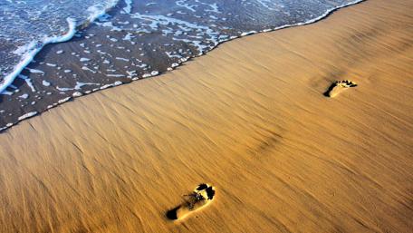 Footprints on Tranquil Shoreline wallpaper