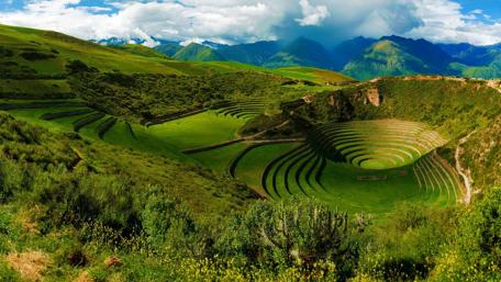 Verdant Terraces Under a Cloud-Kissed Sky wallpaper
