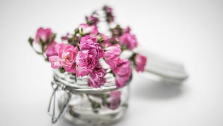 Delicate Pink Blooms in a Jar wallpaper