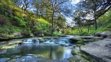 Tranquil Cascade and Serene Brook Setting wallpaper