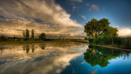 Serene Reflections on a Calm Lake wallpaper