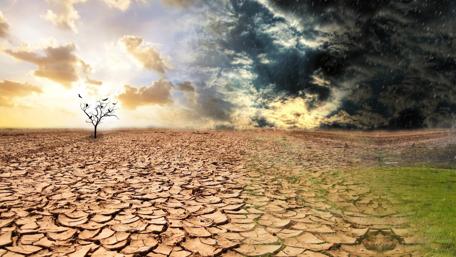 Desert Transformation Under Stormy Skies wallpaper