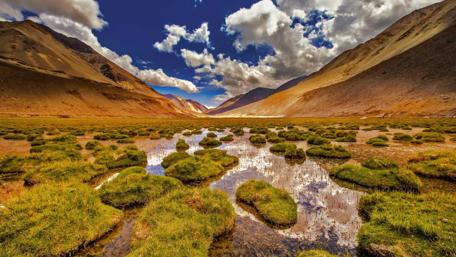 Tranquil Marshland Under a Vast Sky wallpaper
