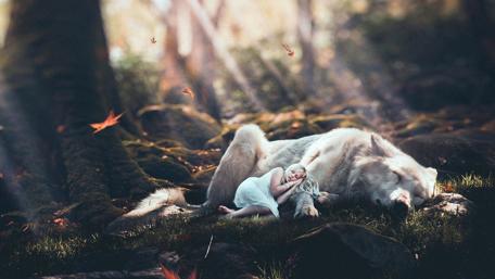 Mystical Slumber in the Enchanted Woods wallpaper