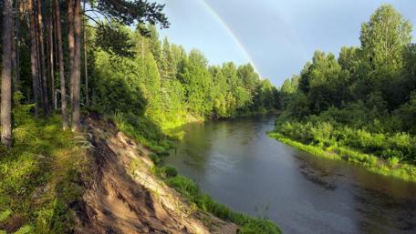 Serene River and Lush Forest Landscape wallpaper