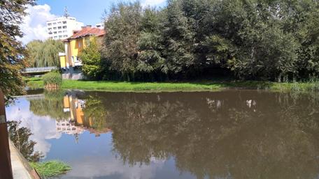 Serene Reflection of Nature's Beauty in the City wallpaper