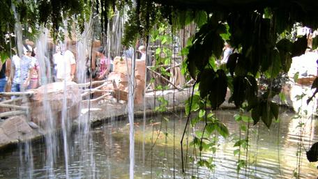 Tranquil Escape in Nature's Embrace wallpaper
