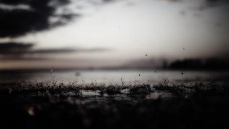 Raindrops Dancing on the Surface of a Puddle wallpaper