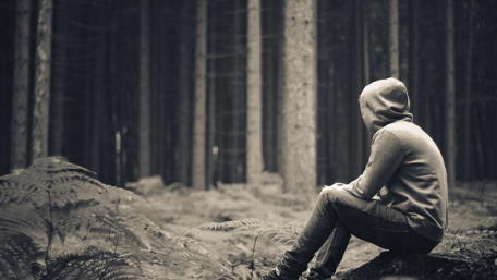 Solitude in the Forest wallpaper