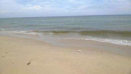 Tranquil Shoreline Bliss wallpaper