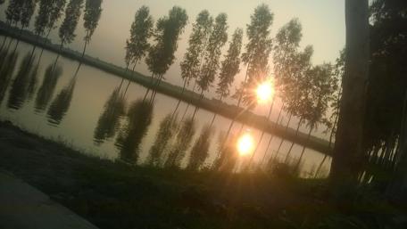 Serene Sunset Reflections in Nature wallpaper